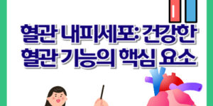 혈관 내피세포: 건강한 혈관 기능의 핵심 요소